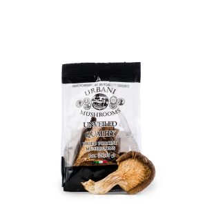 Dried Porcini Mushrooms 1 oz