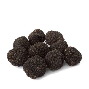 Fresh Burgundy Truffles 4 oz